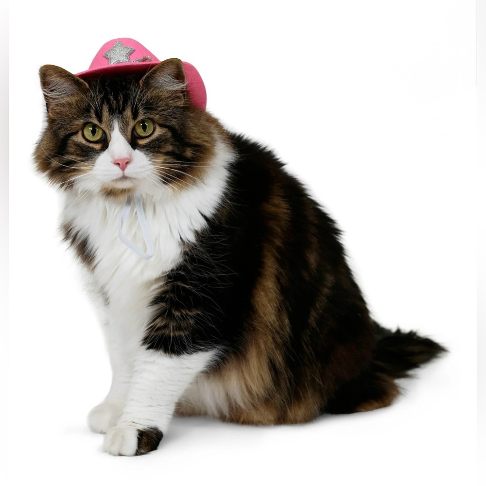 NWT - Cowboy Hat for Dogs & Cats - Pink